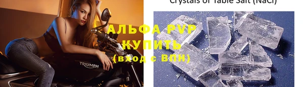 PSILOCYBIN Инта