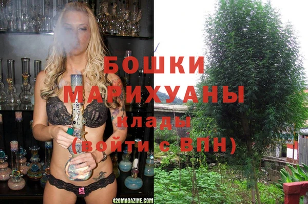 PSILOCYBIN Инта