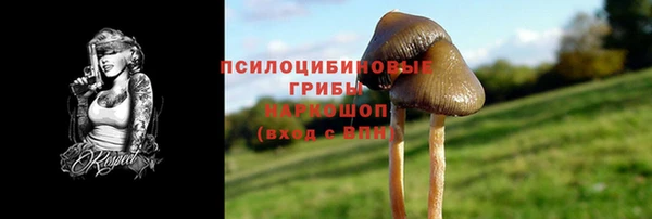 ГАЛЛЮЦИНОГЕННЫЕ ГРИБЫ Иннополис