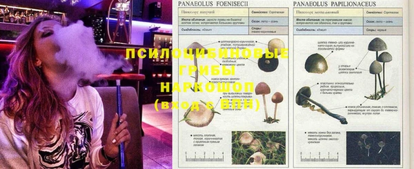 мескалин Каменка