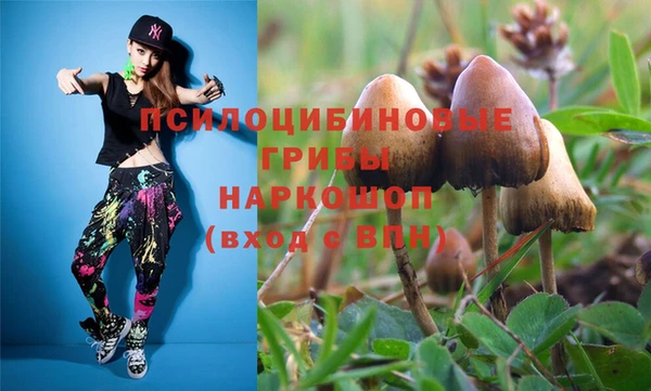 PSILOCYBIN Инта