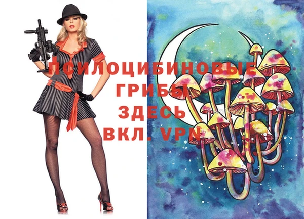 мескалин Каменка